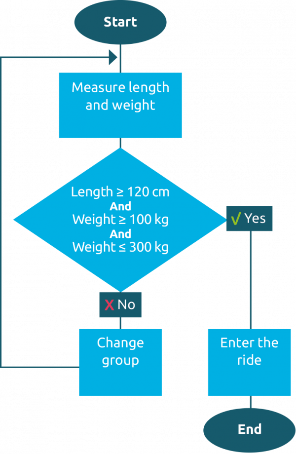 Example of a process or program flow with decision points and paths