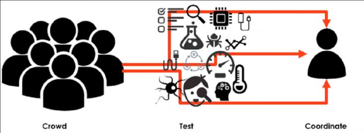 Crowd & IoT
